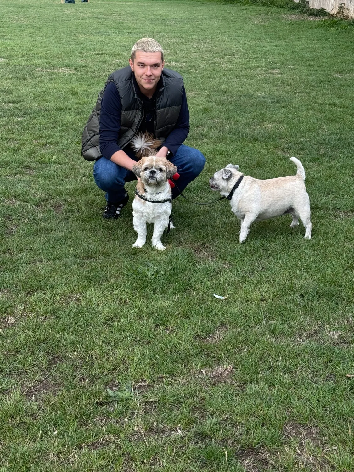 Cohen with two four-legged friends
