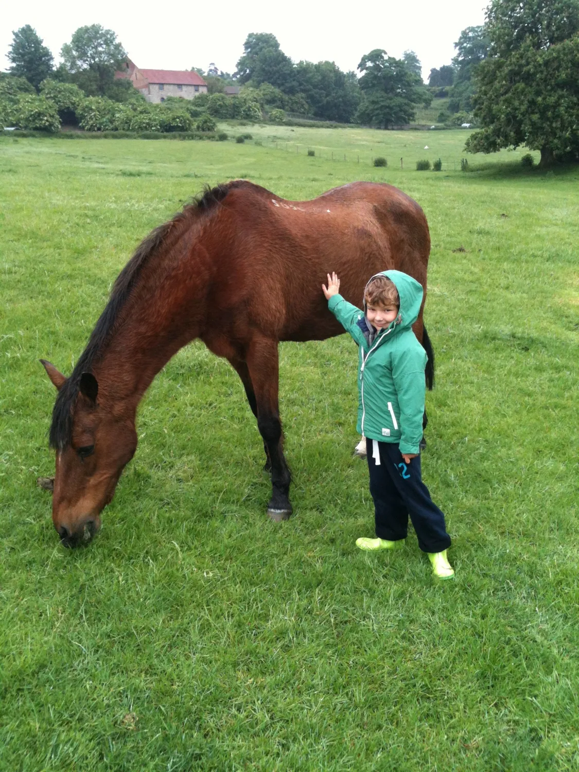 Young Cohen beside a horse in a green field